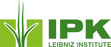 IPK - Leibniz-Institut für Pflanzengenetik und Kulturpflanzenforschung